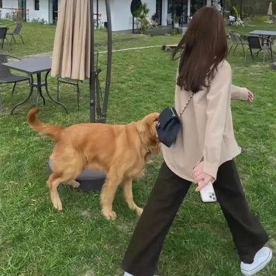 快闪杀手